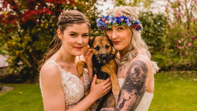 Your Dog at your Wedding wedding event dog daycare